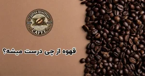 قهوه از چی درست میشه؟ راز دانه های قهوه و تولید آن