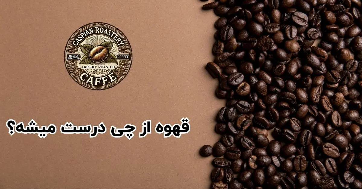 قهوه از چی درست میشه؟ راز دانه های قهوه و تولید آن