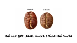 تفاوت قهوه عربیکا و روبوستا