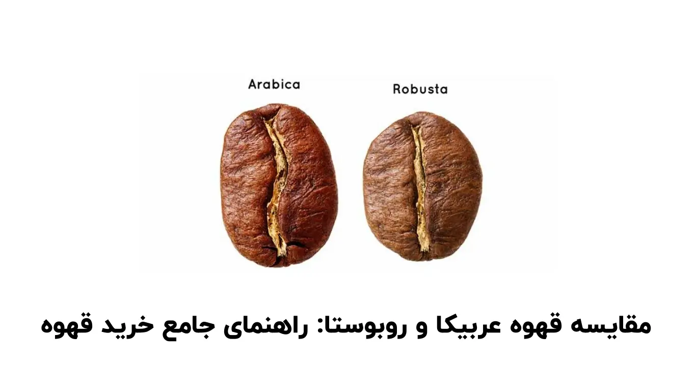 تفاوت قهوه عربیکا و روبوستا