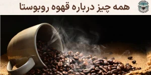 همه چیز درباره قهوه روبوستا