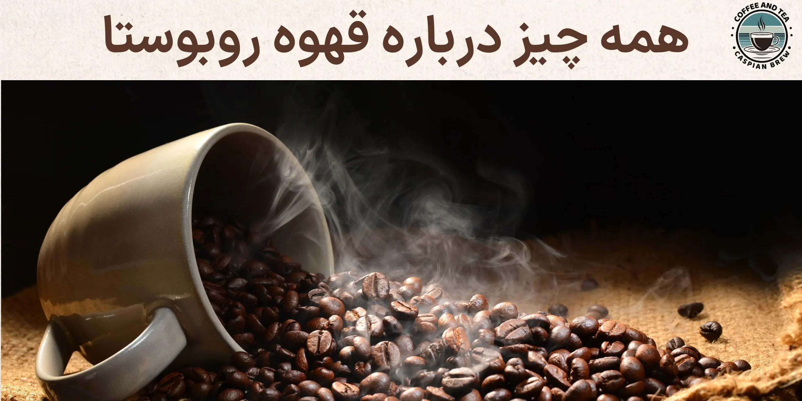 همه چیز درباره قهوه روبوستا